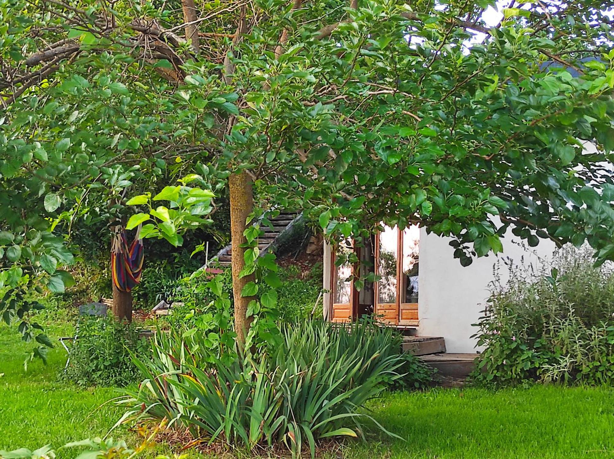 Bed and Breakfast Bout De Cote Lacam-dʼOurcet Exterior foto
